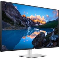 Dell UltraSharp U4323QE, LED-Monitor