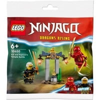 30650 Ninjago Kais und Raptons Duell im Tempel, Konstruktionsspielzeug