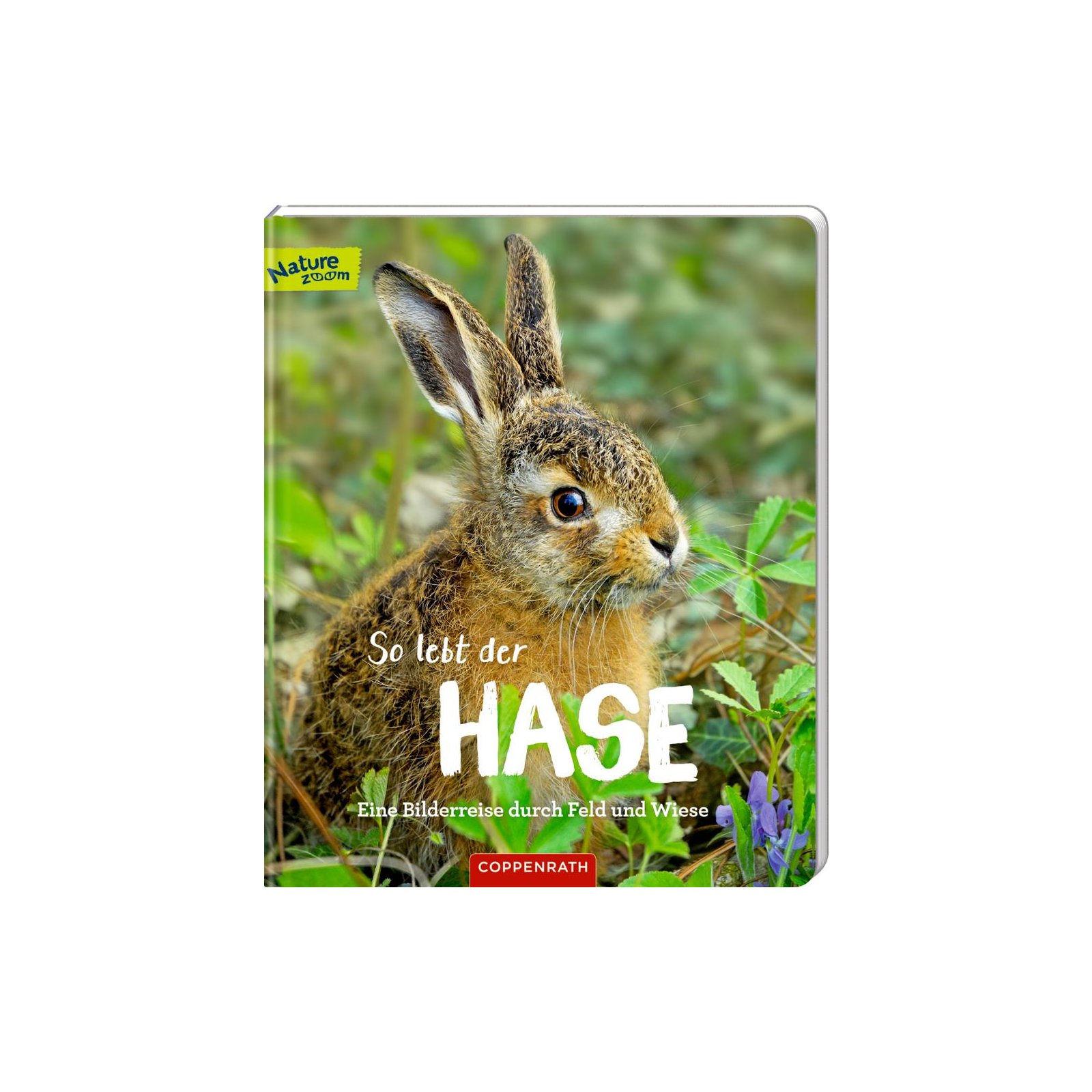 Coppenrath - So lebt der Hase - Eine Bilderreise ...