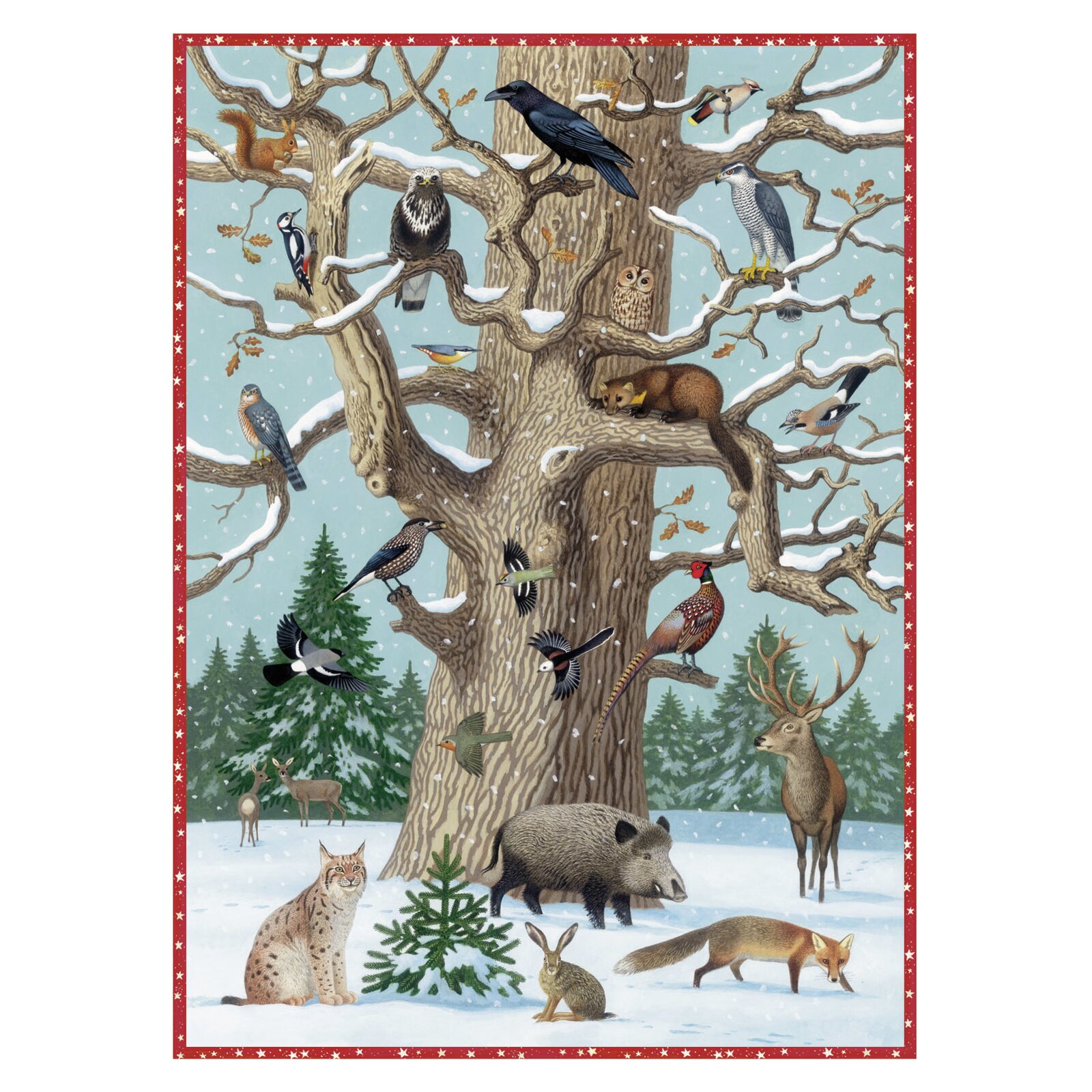 Coppenrath - Adventskalender - Tiere im Winter (S)