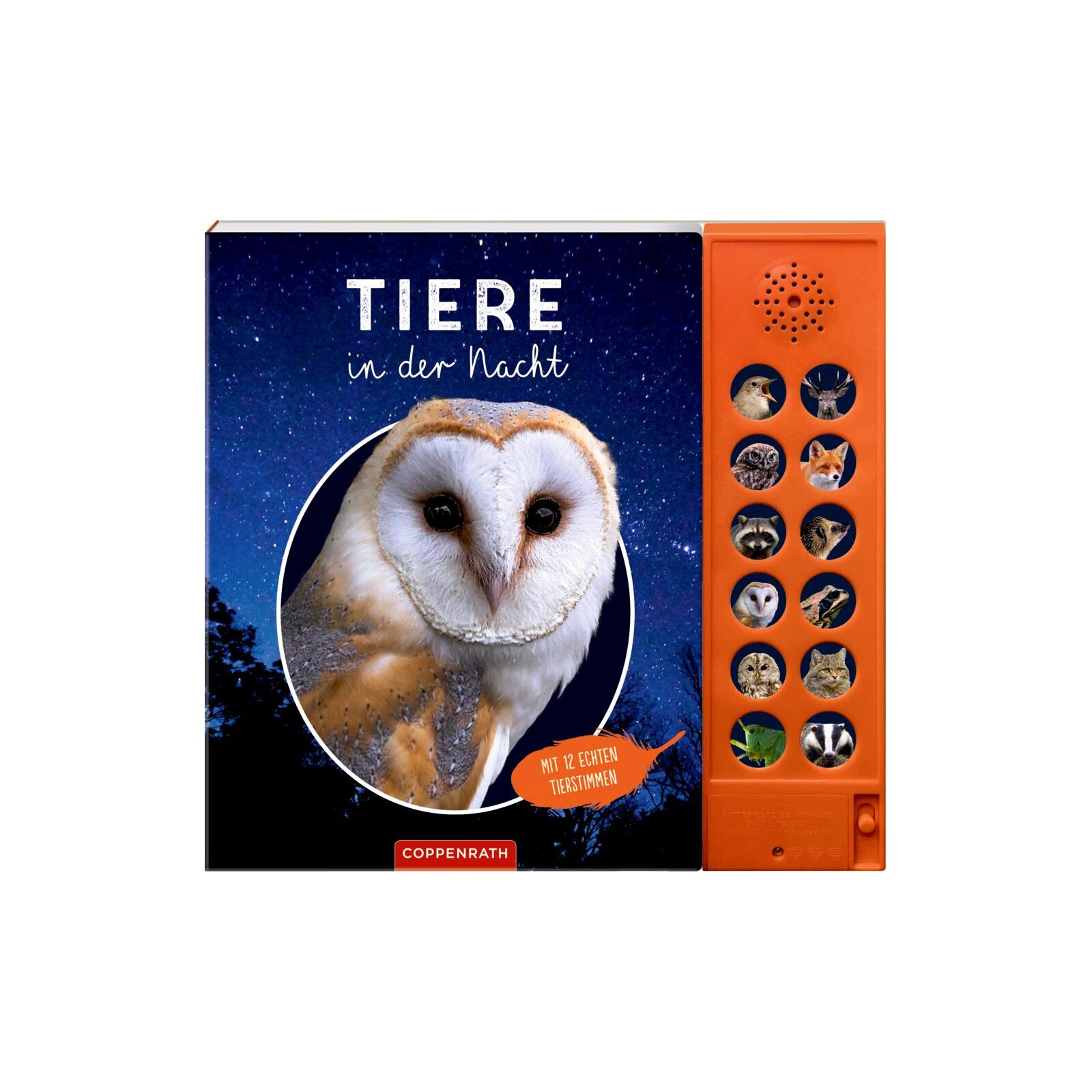 Coppenrath - Tiere in der Nacht - Mit 12 echten Tierstimmen (Soundb.)