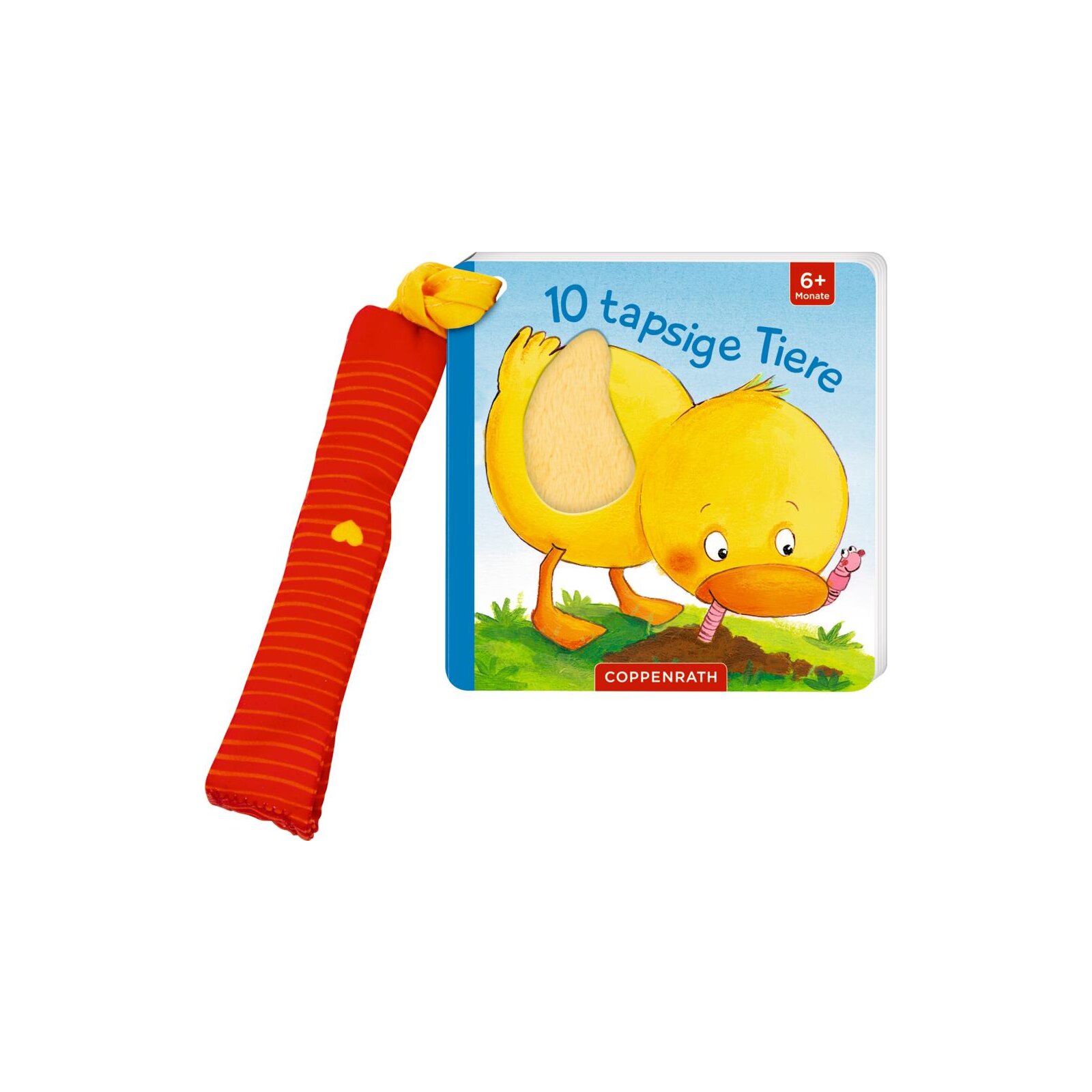 Coppenrath - Mein 1.Fühl-Buch für den Buggy: 10 tapsige Tiere