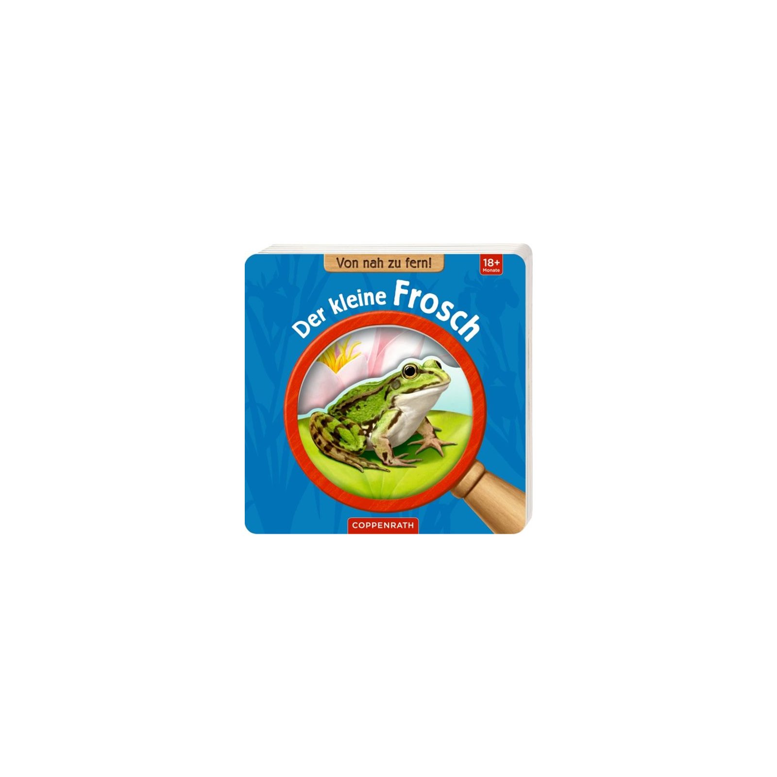 Coppenrath - Von nah zu fern! Der kleine Frosch