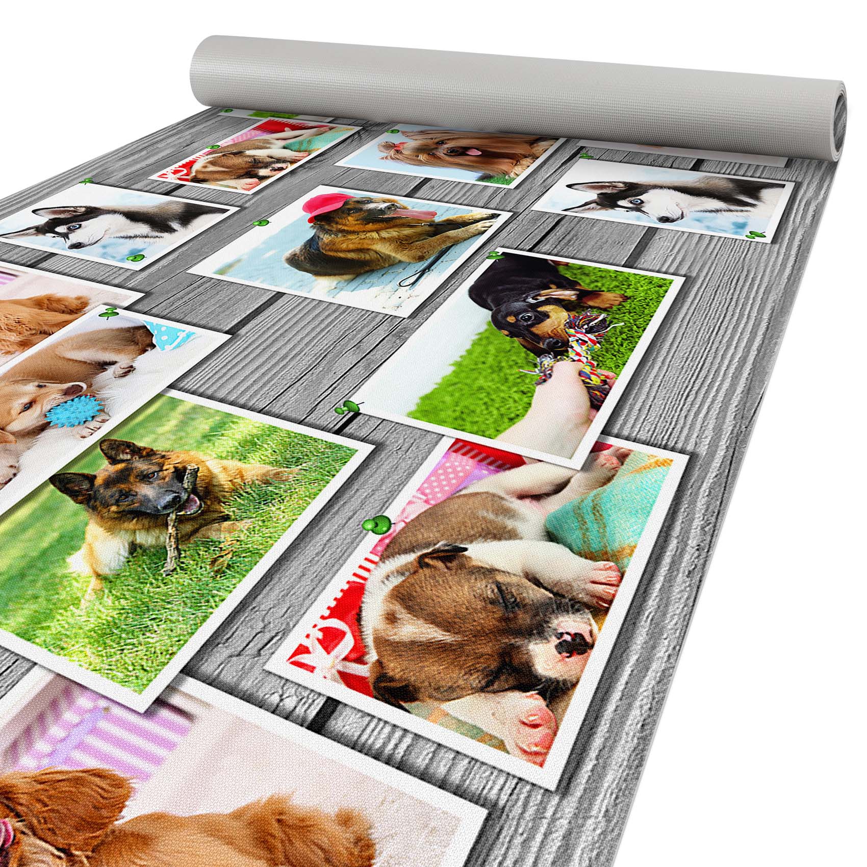 Küchenläufer Küchenteppich Läufer Flur Teppichläufer Hundemotiv Mehrfarbig 80cm Breit 100cm