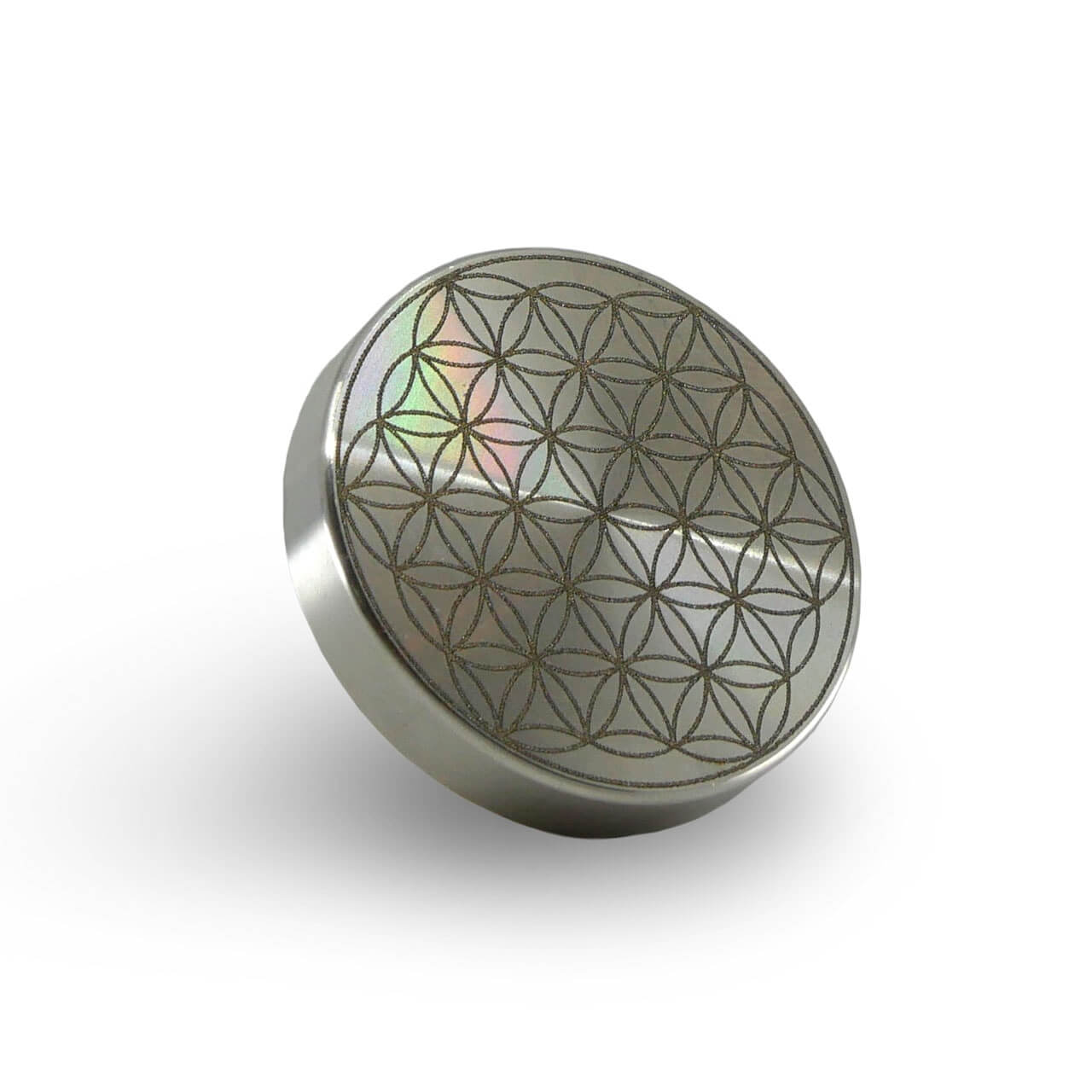 Ei-Touch (Körpergleiter)