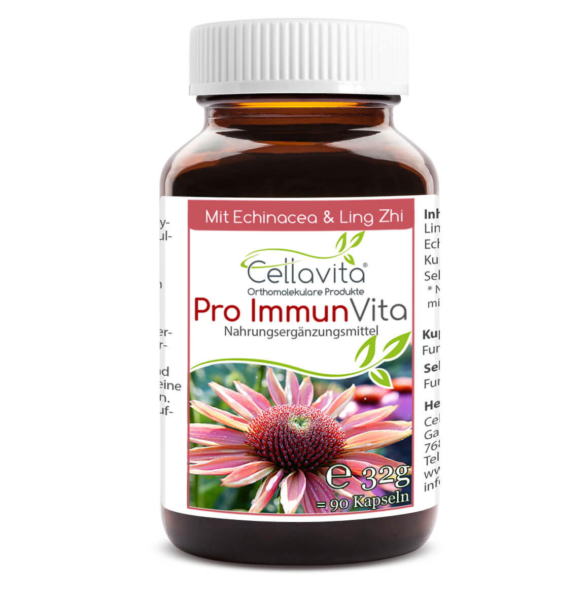 Pro Immun Vita (mit Echinacea + Ling Zhi) Kapseln