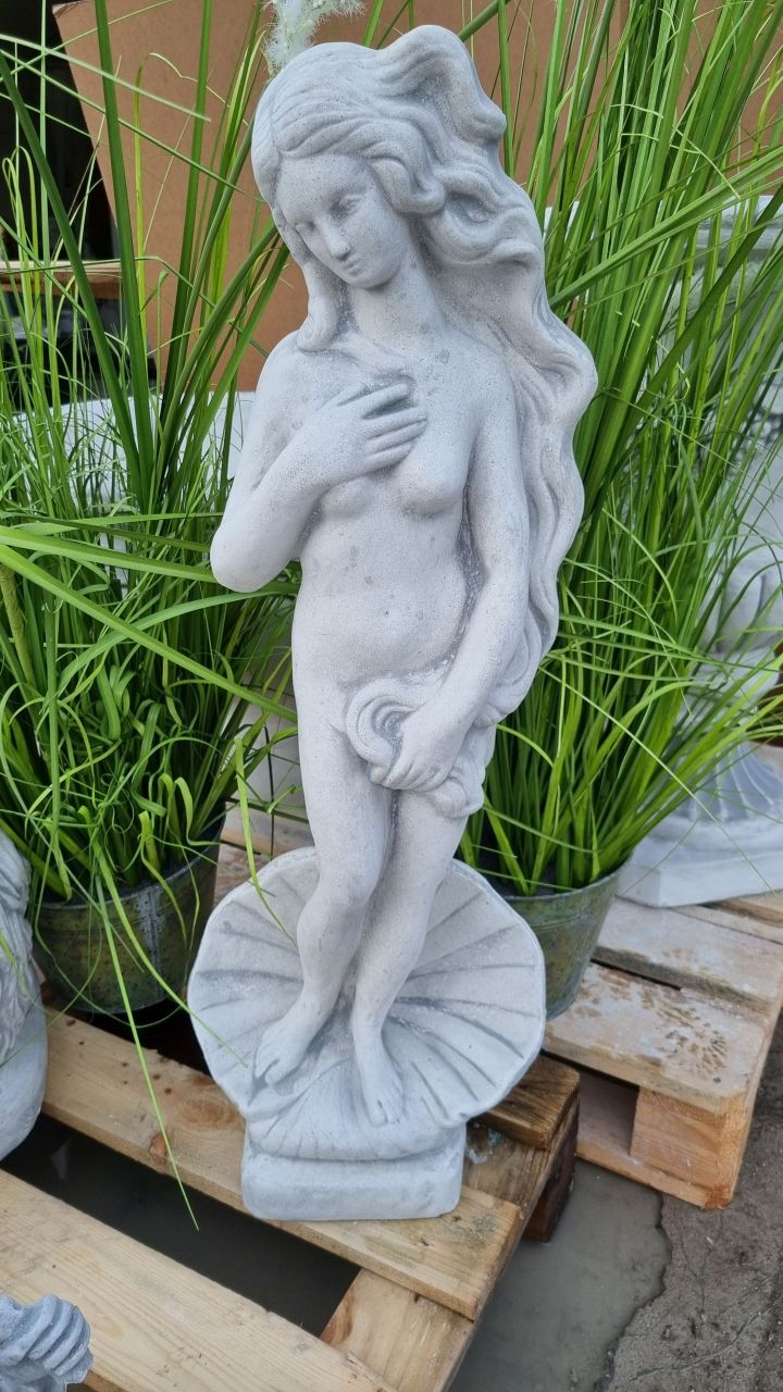 Gartenfigur 'Die Geburt der Venus', medium, antik grau