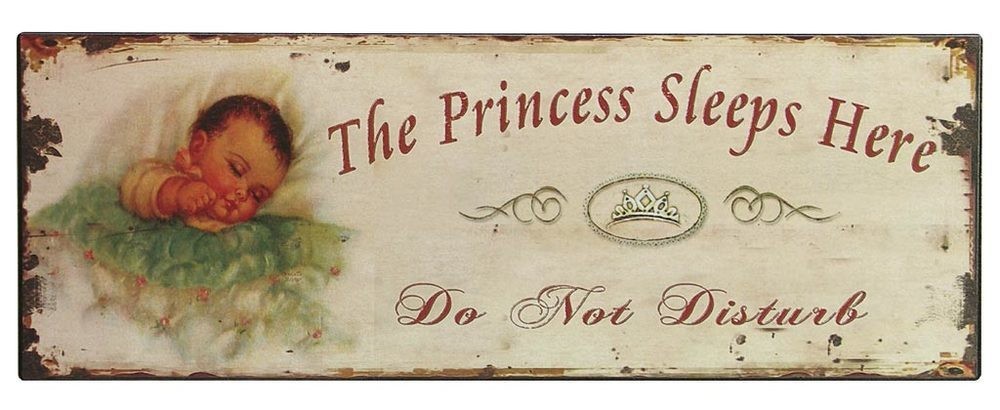 Nostalgie Blechschild 'The Princess Sleeps Here' Kinderzimmer Dekoschild 36x13cm