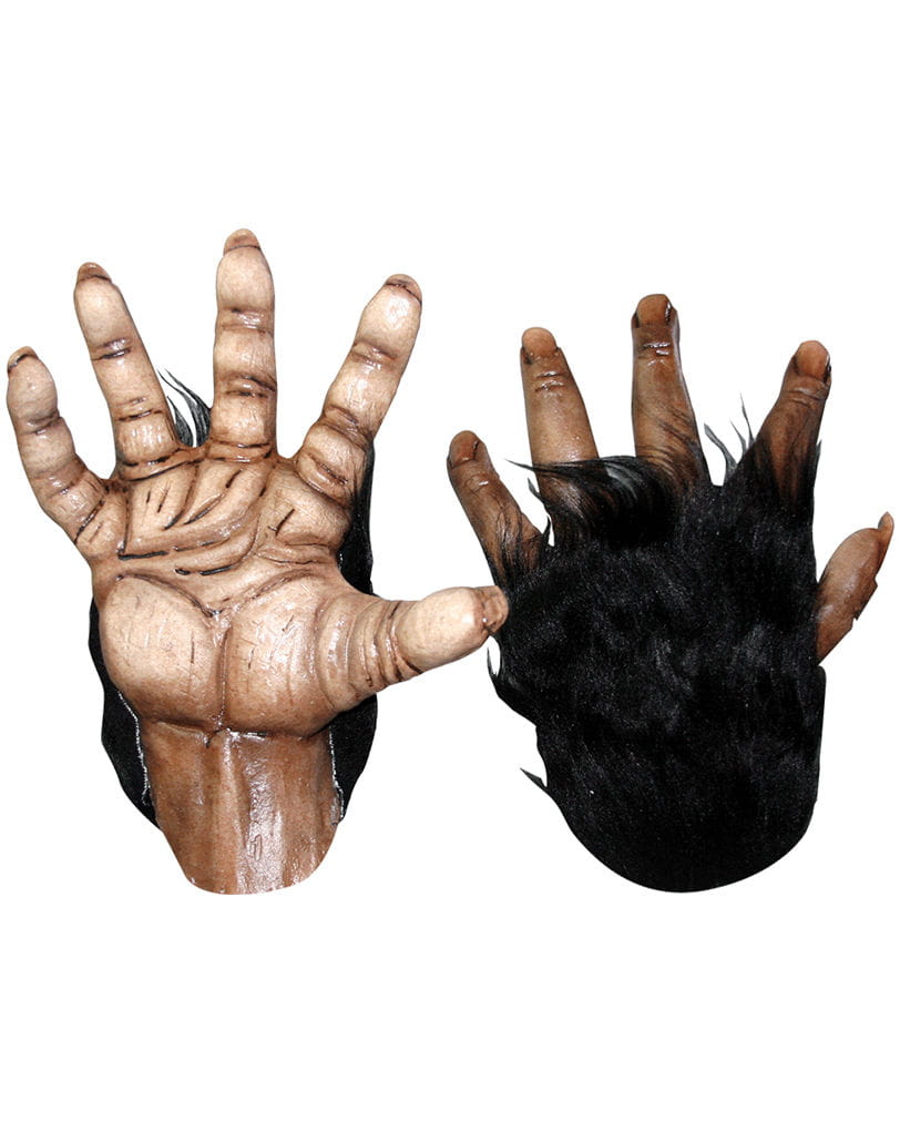 Braune Affenhände aus  Latex