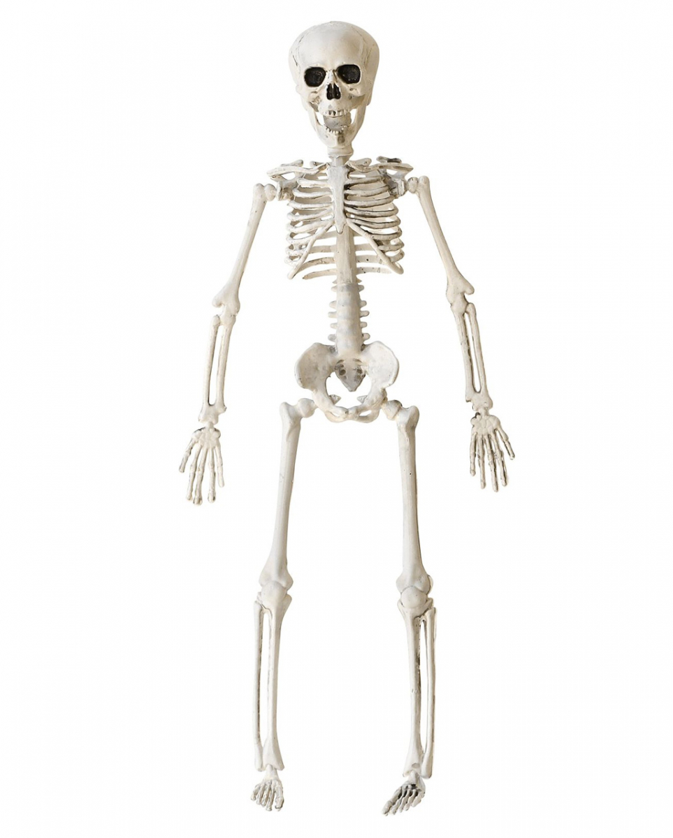 Halloween Knochenskelett 40 cm