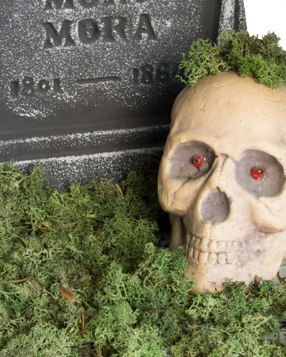 Halloween Deko Moos 120 g