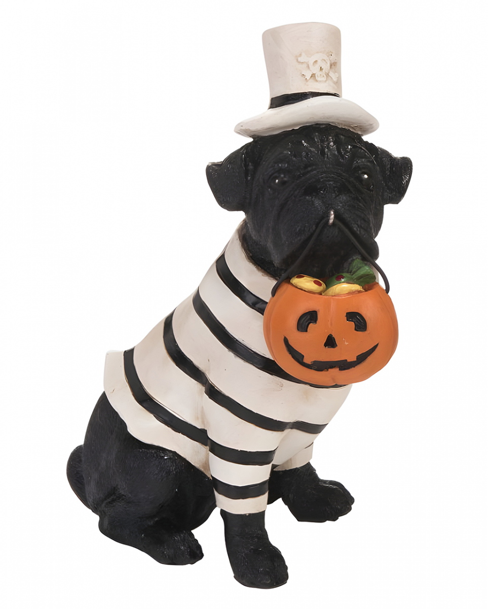 Mops mit Halloween Kürbis Eimer 13cm