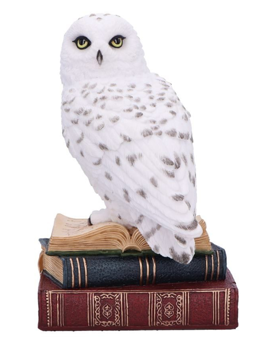 Bibliothek der Weisheit Eulen Figur 17cm