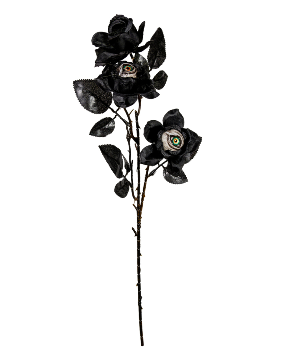 Schwarzer Zweig mit 2 Rosen & Augen 64cm