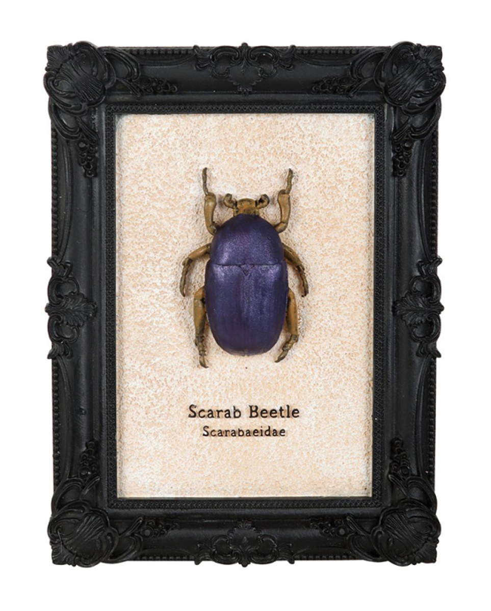 Skarabäus-Käfer im Schwarzen Gothic Bilderrahmen 20cm