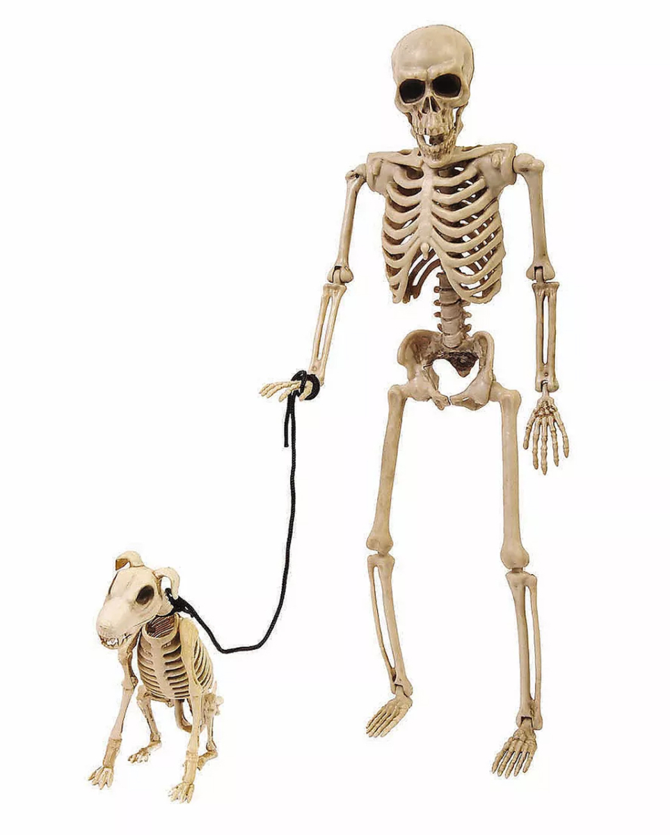 Skelett mit Skeletthund an der Leine 36cm