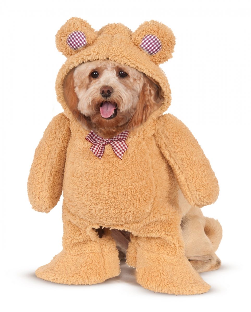 Teddy Bär Kostüm für Hunde