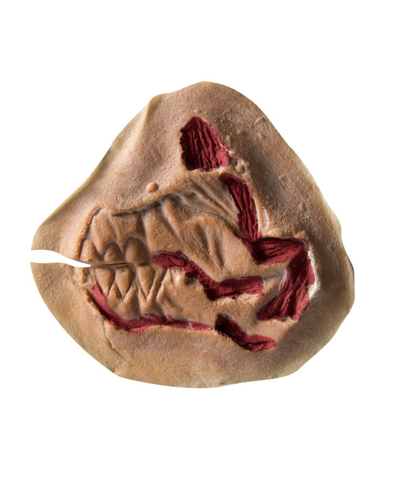 Zombie Gebiss Wunde aus Latex