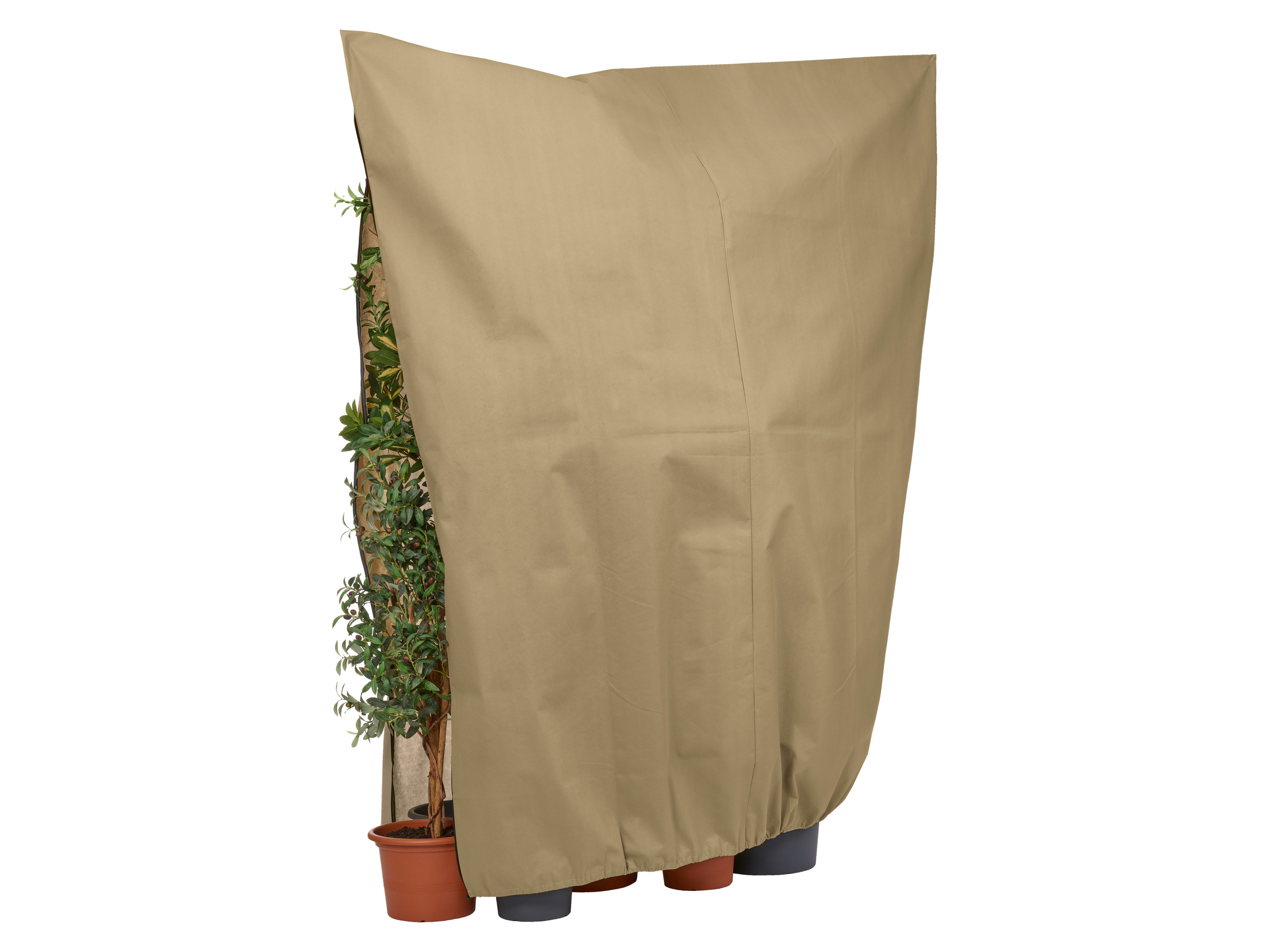 PARKSIDE® Pflanzenschutz-Vlieshaube XXL /-XL /-L (XXL beige)