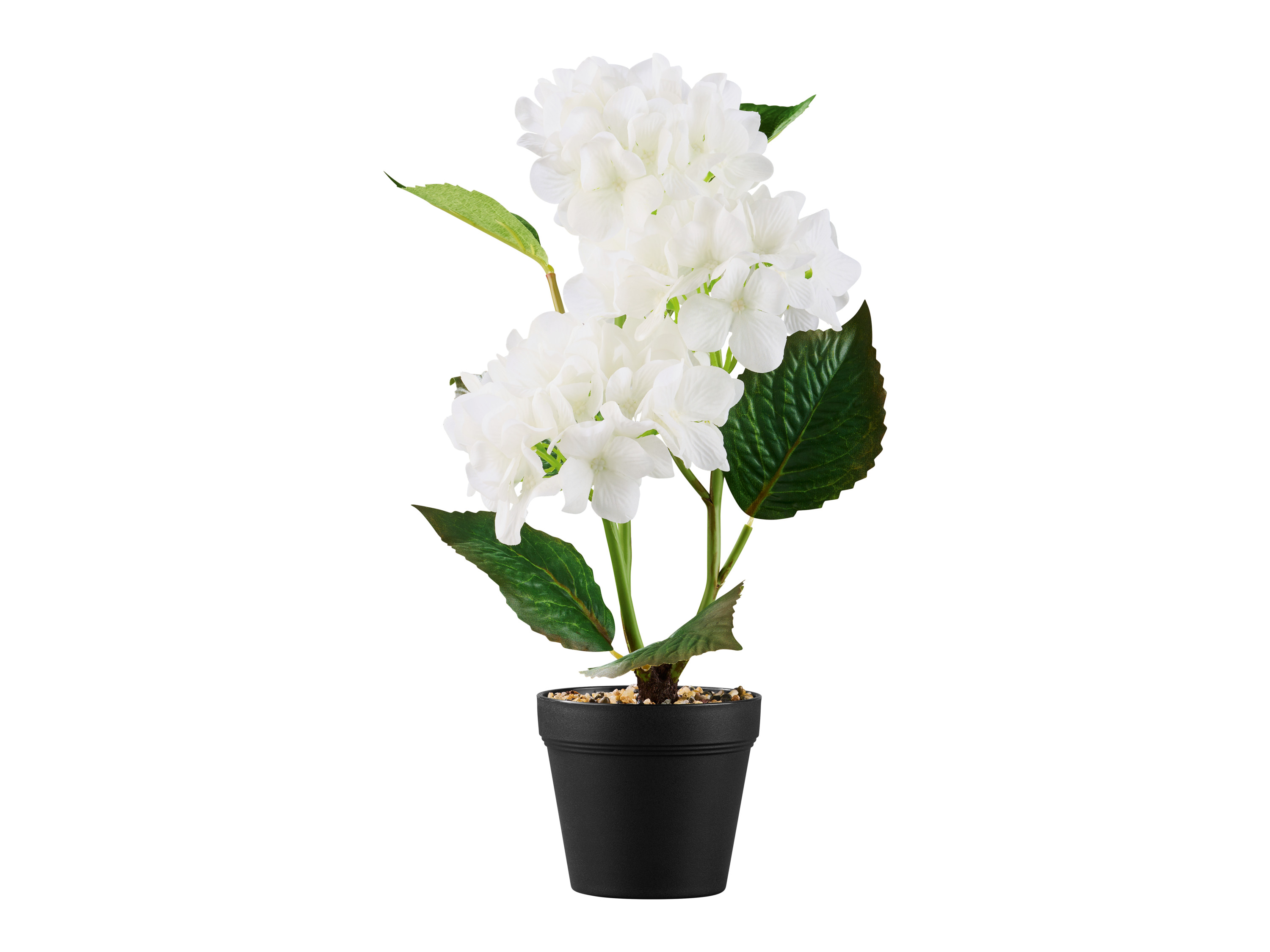 LIVARNO home Kunstpflanze im Topf  (Hortensie)