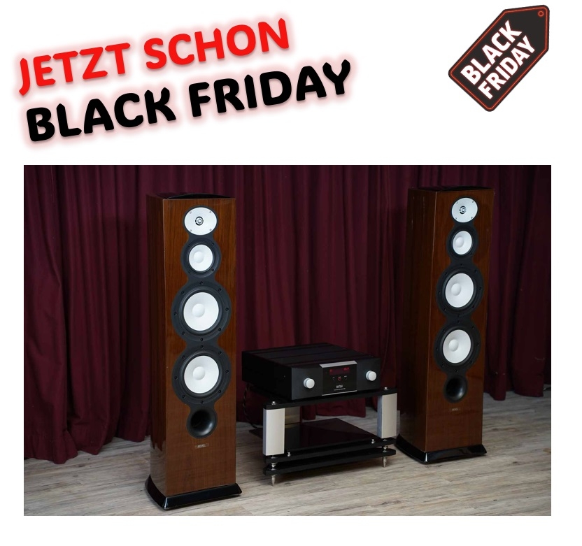 Bundle High-End Audio Bundle: Revel Performa F228Be Standlautsprecher & Mark Levinson No. 5805 Verstärker
