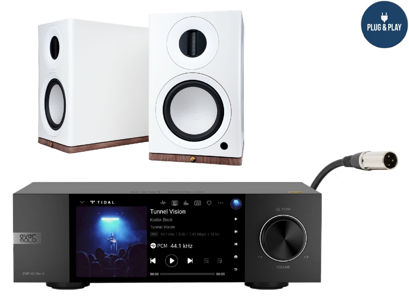 Bundle Eversolo DMP-A6 Gen2 + Swan Dazzle Prime - Streaming Stereo-System, Weiß | Neu