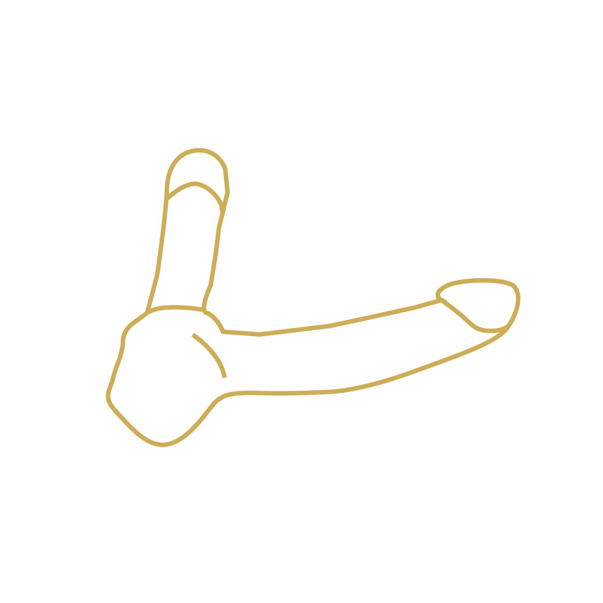 Strap On Dildo - vibrierend