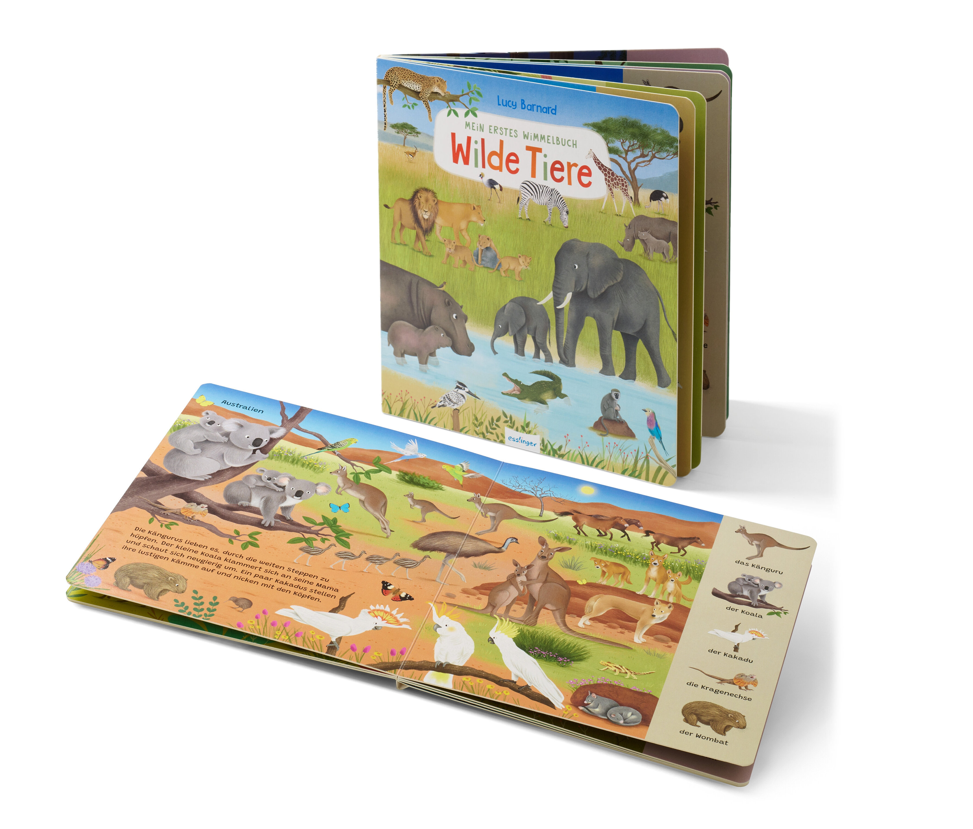 Tchibo - Buch »Mein erstes Wimmelbuch – Wilde Tiere«