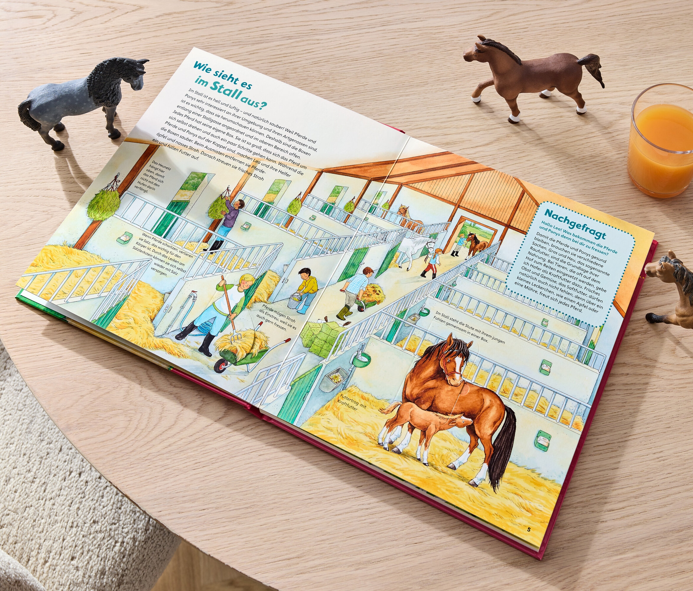 Tchibo - Buch: »Was IST WAS Junior – Pferde und Ponys«