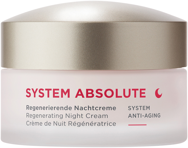ANNEMARIE BÖRLIND System Absolute Regenerierende Nachtcreme