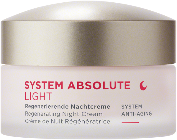 ANNEMARIE BÖRLIND System Absolute Regenerierende Nachtcreme light