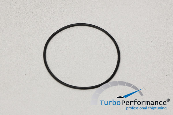 Dichtungsring für VWR R600 High Flow Turbo Inlet, Ersatz O-Ring