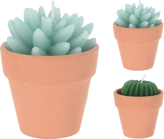 KERZE KAKTUS IM TOPF 1 Stück ca. 7 x 9 cm 2 Sorten unsortiert