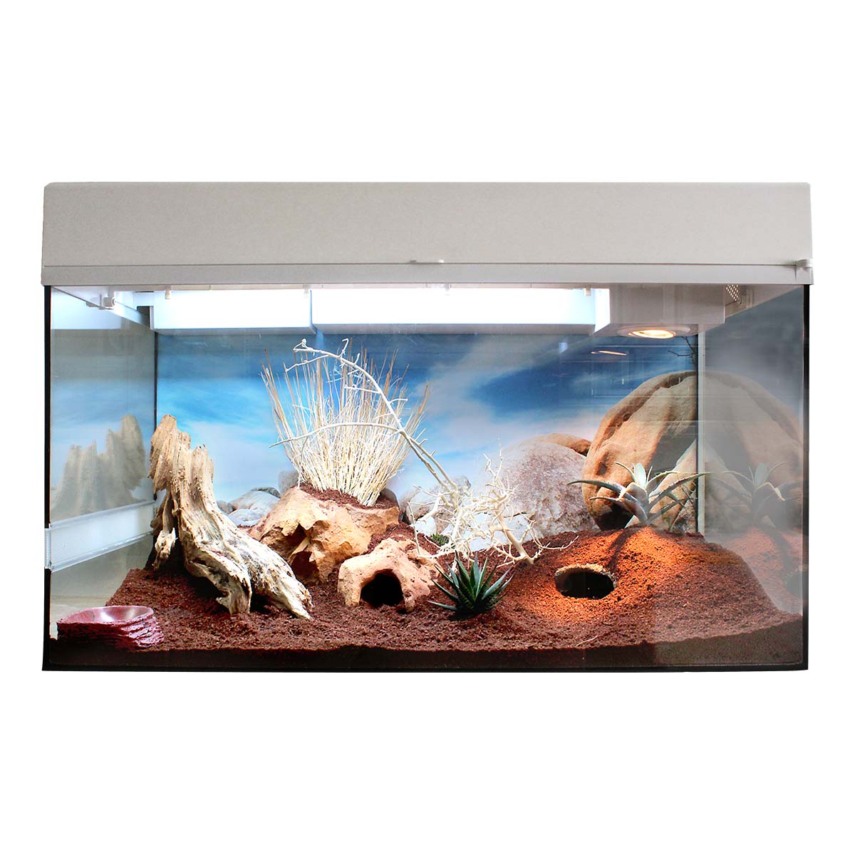Lucky Reptile Terrarium Starter Kit 80 cm 'Leopardgecko' weiß