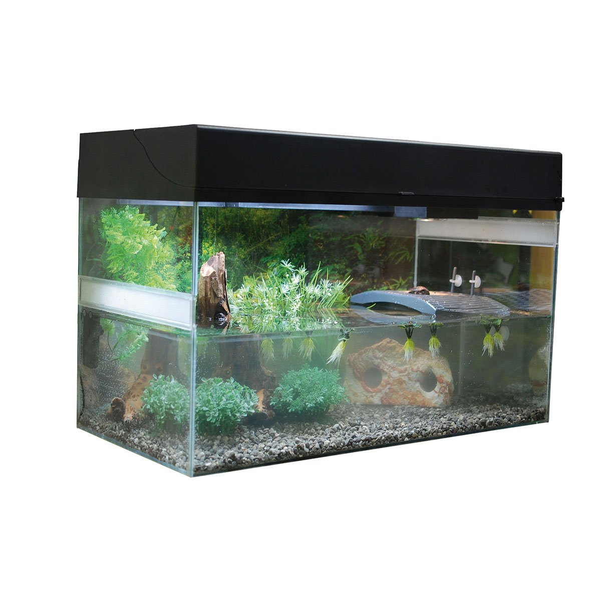 Lucky Reptile Terrarium Starter Kit 80 cm 'Wasserschildkröte' schwarz
