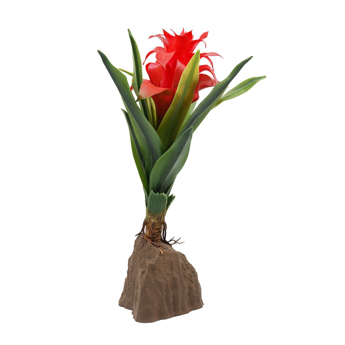 Lucky Reptile Bromelie Pflanze groß rot 30 cm
