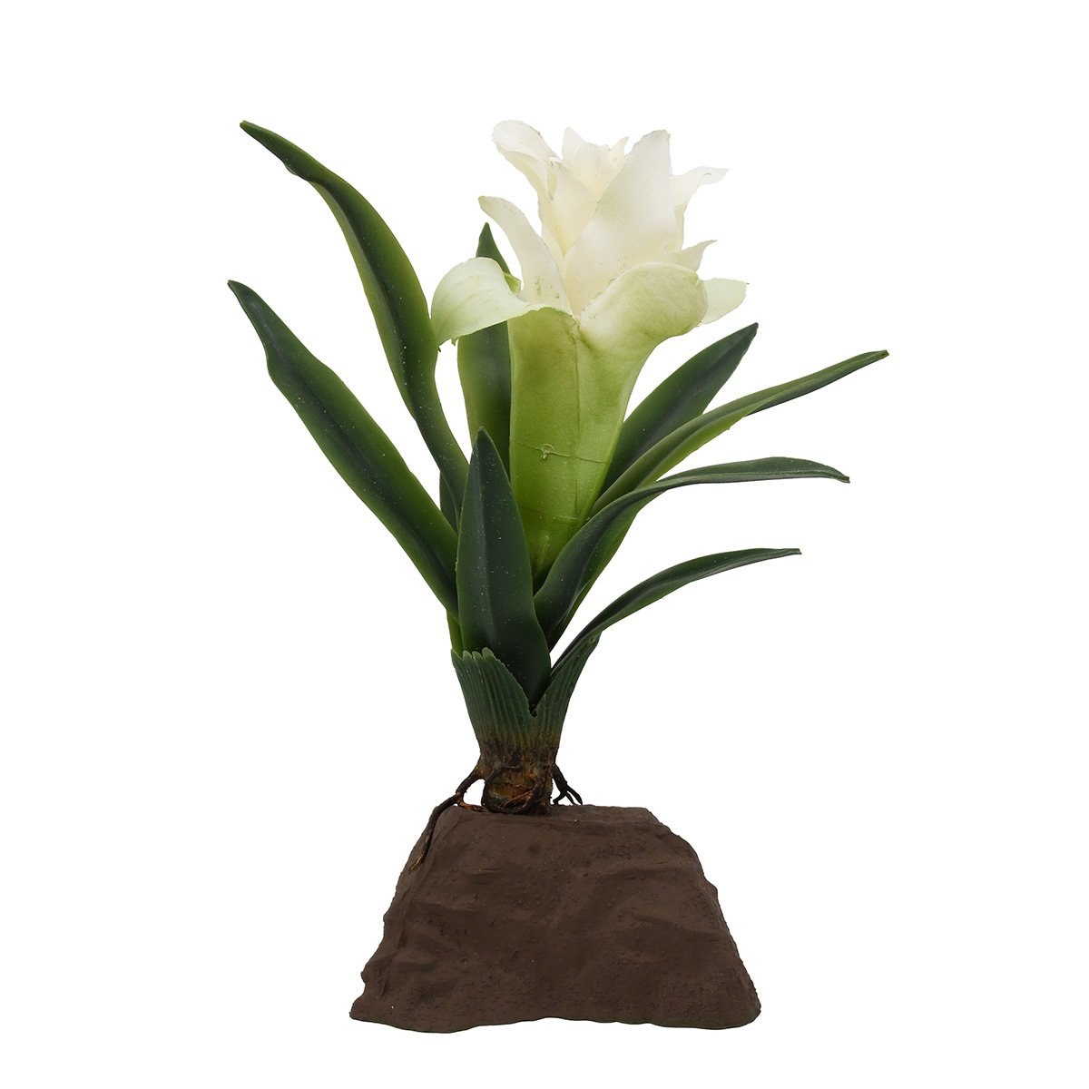 Lucky Reptile Bromelie Pflanze klein weiß 20 cm