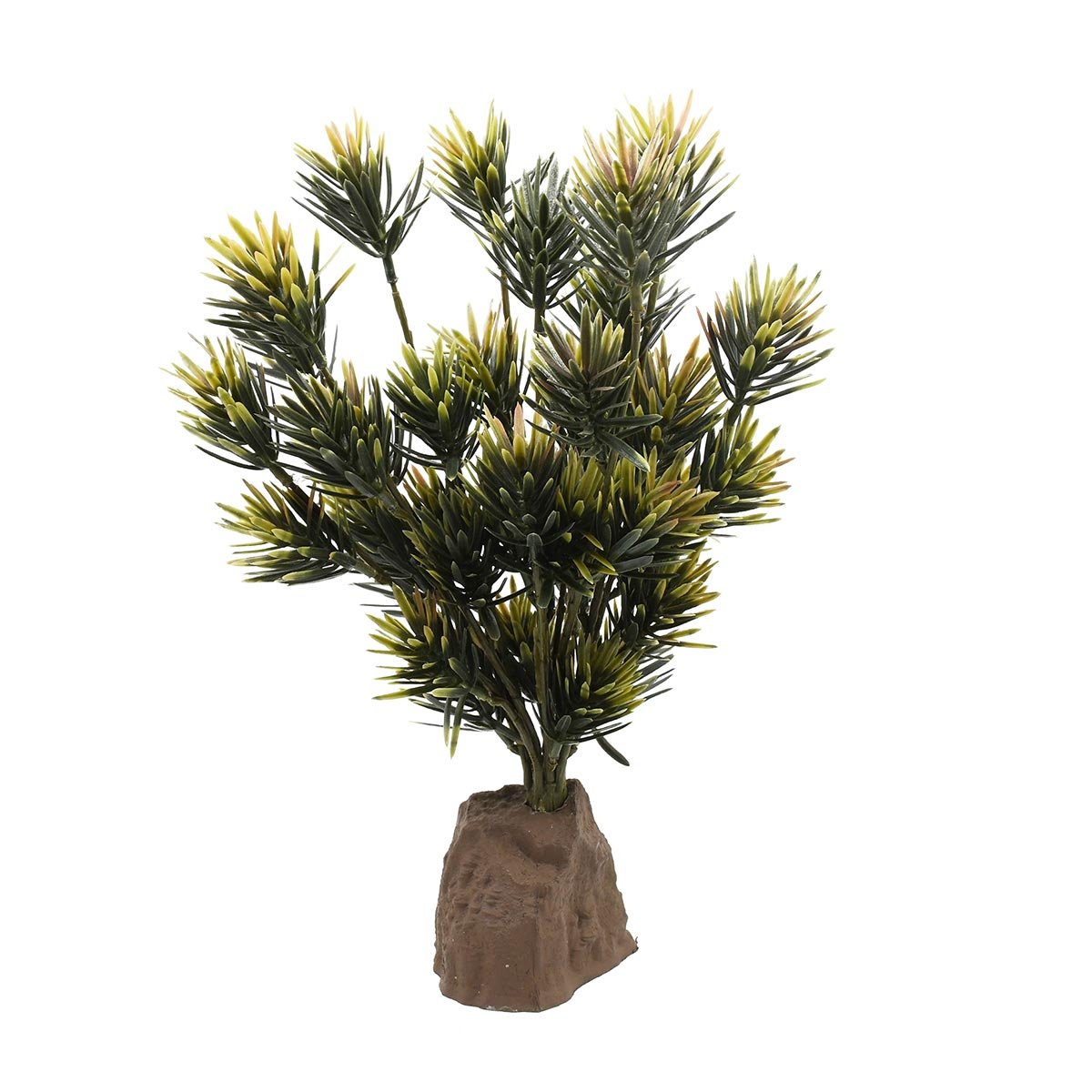 Lucky Reptile Podocarpus Pflanze 40 cm