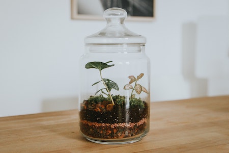 Terrarium auf Raten hier kaufen